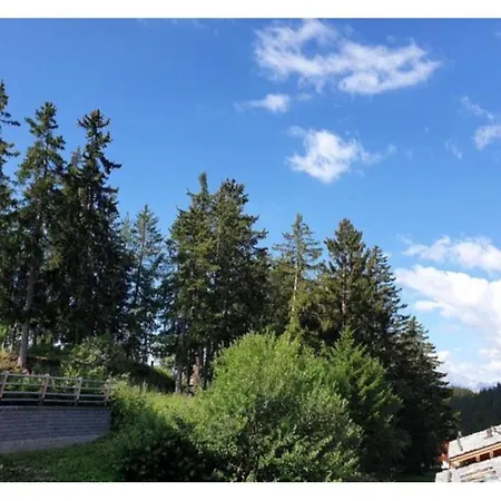 Apartment Cosy Crans-Montana